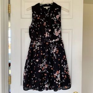 LC Lauren Conrad Floral Collared Dress